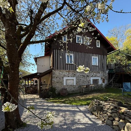 Vila Adélka - útulná chalupa v Krkonoších Horní Maršov Exteriér fotografie