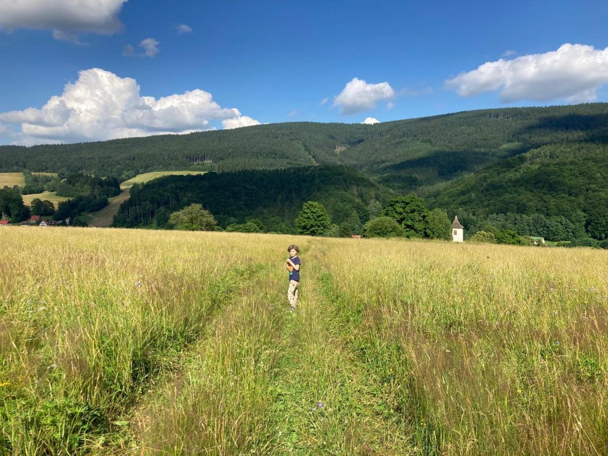 Vila Adélka - útulná chalupa v Krkonoších Horní Maršov Exteriér fotografie
