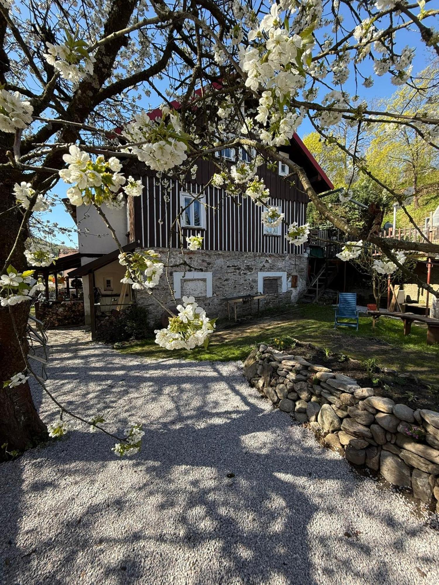 Vila Adélka - útulná chalupa v Krkonoších Horní Maršov Exteriér fotografie